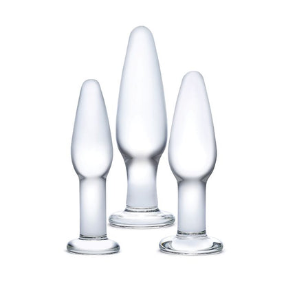 3 pc Glass Anal Training Kit