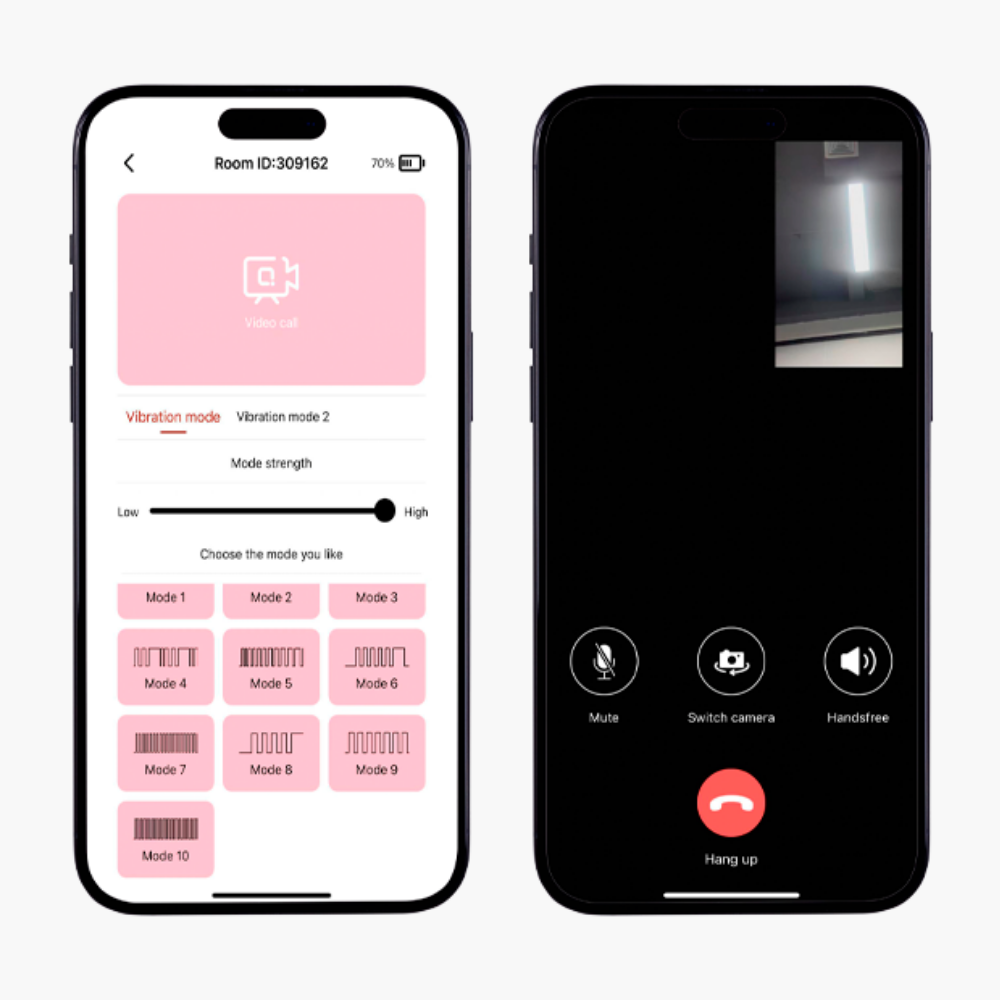 Undercover Lover Panty Vibe: Remote + App