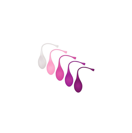 Tight & Delight 5 pc Weighted Kegel Ball Set