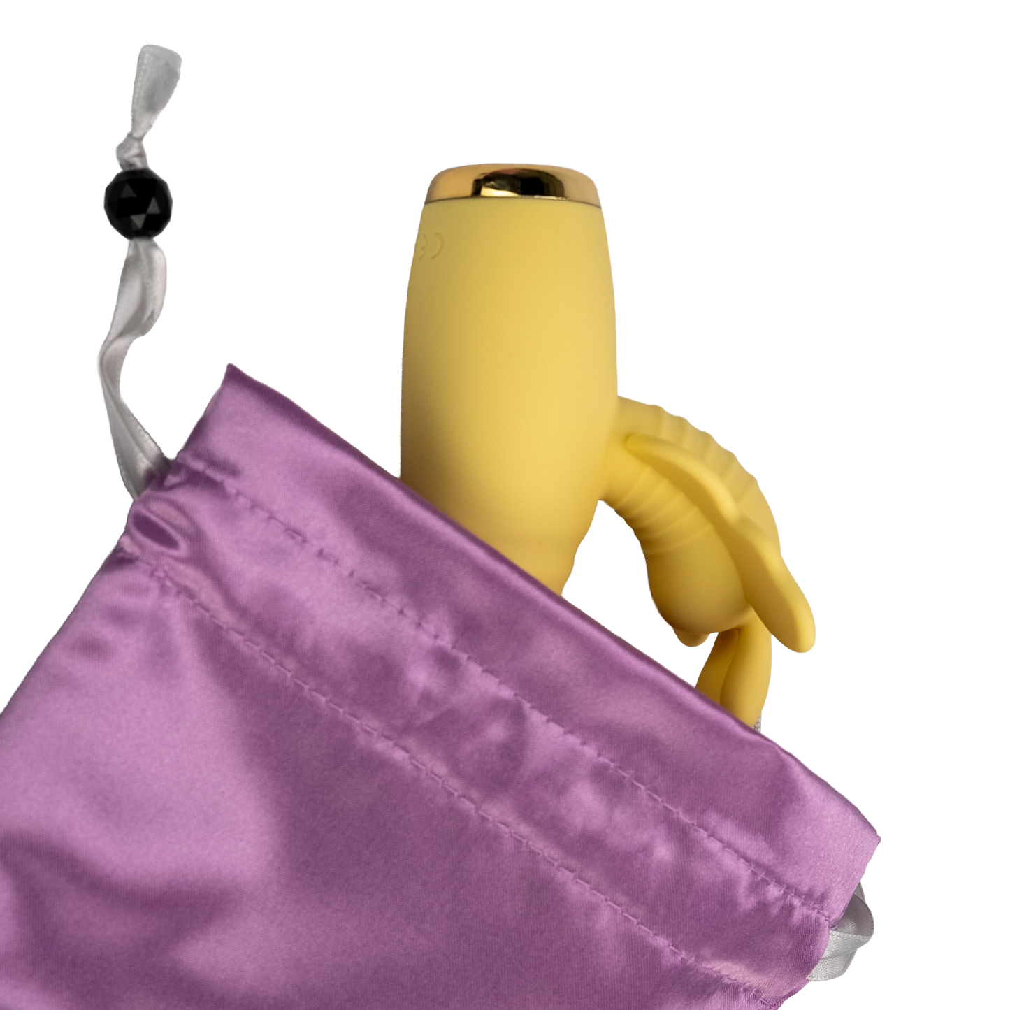 Pleasure Tote - Toy Storage Bag