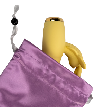 Pleasure Tote - Toy Storage Bag