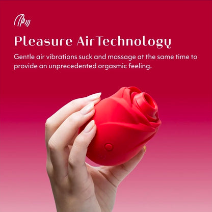 Pleasure Air Rose