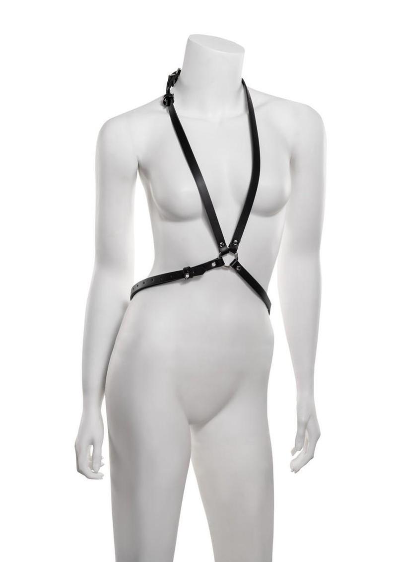 Black & Silver Bondage Collection