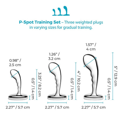 Stainless Steel P-Spot Training Set