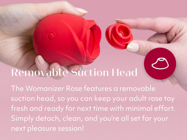 Pleasure Air Rose