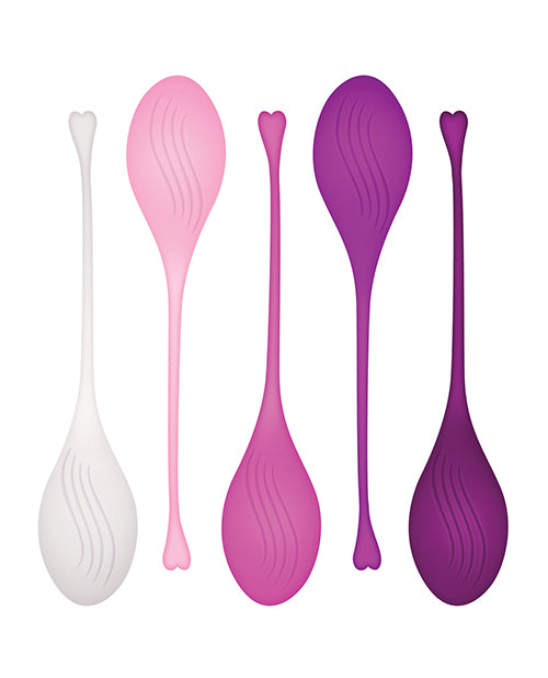 Tight & Delight 5 pc Weighted Kegel Ball Set